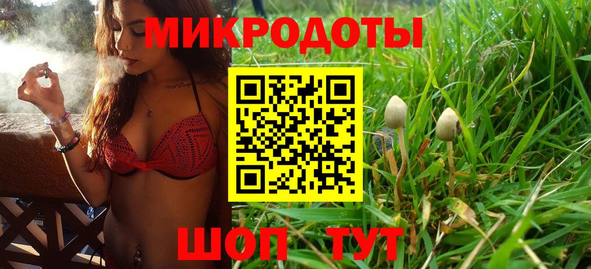 Галлюциногенные грибы GOLDEN TEACHER Биробиджан