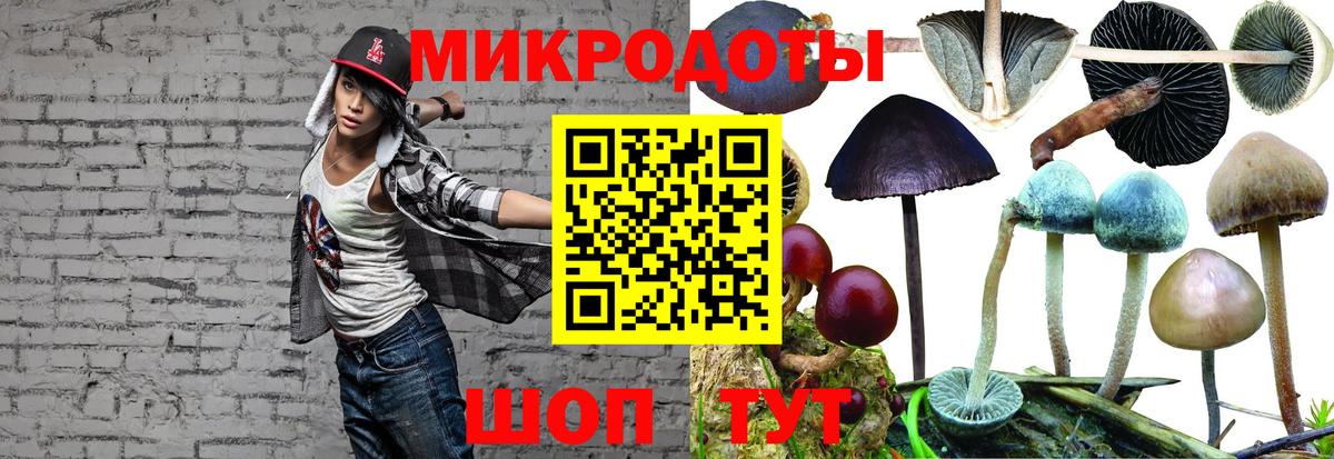 БУТИРАТ Биробиджан